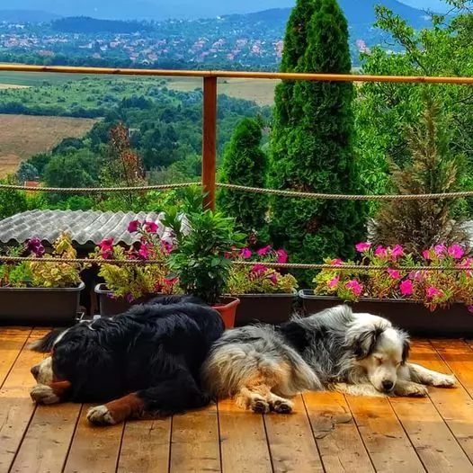 Panoráma Apartman - kép 5