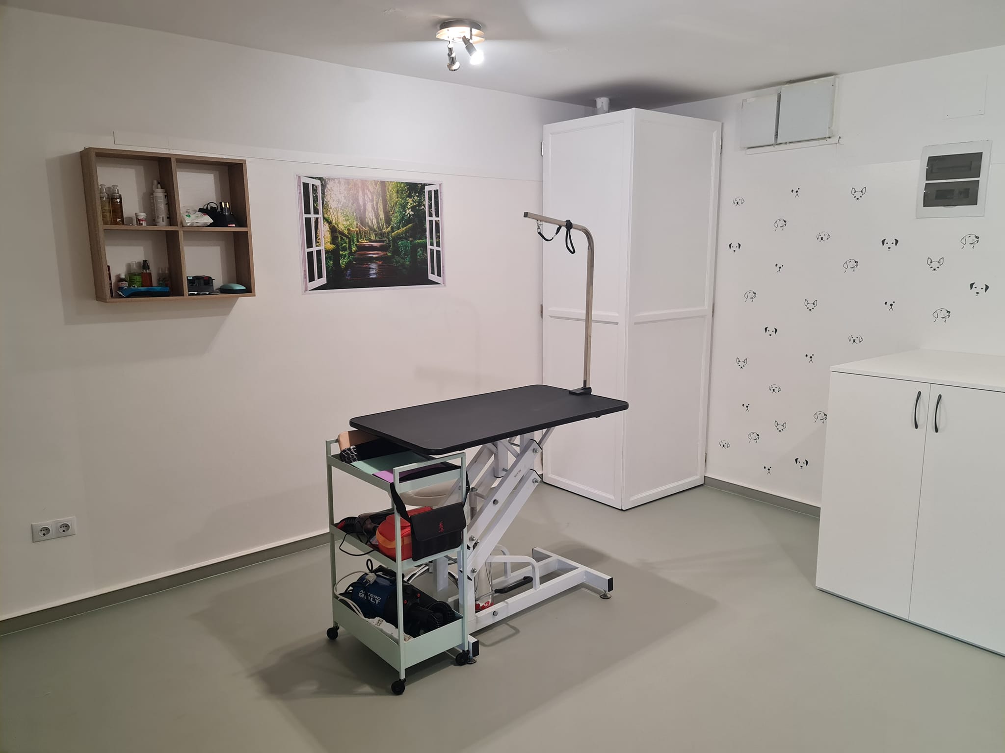 Green Pet Grooming Salon - kép 3