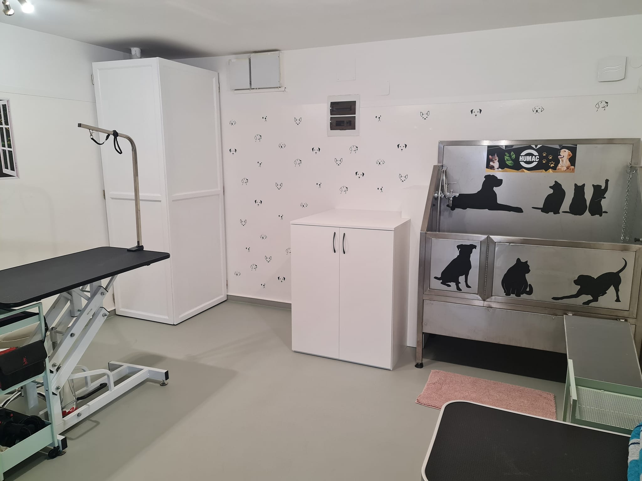 Green Pet Grooming Salon - kép 4