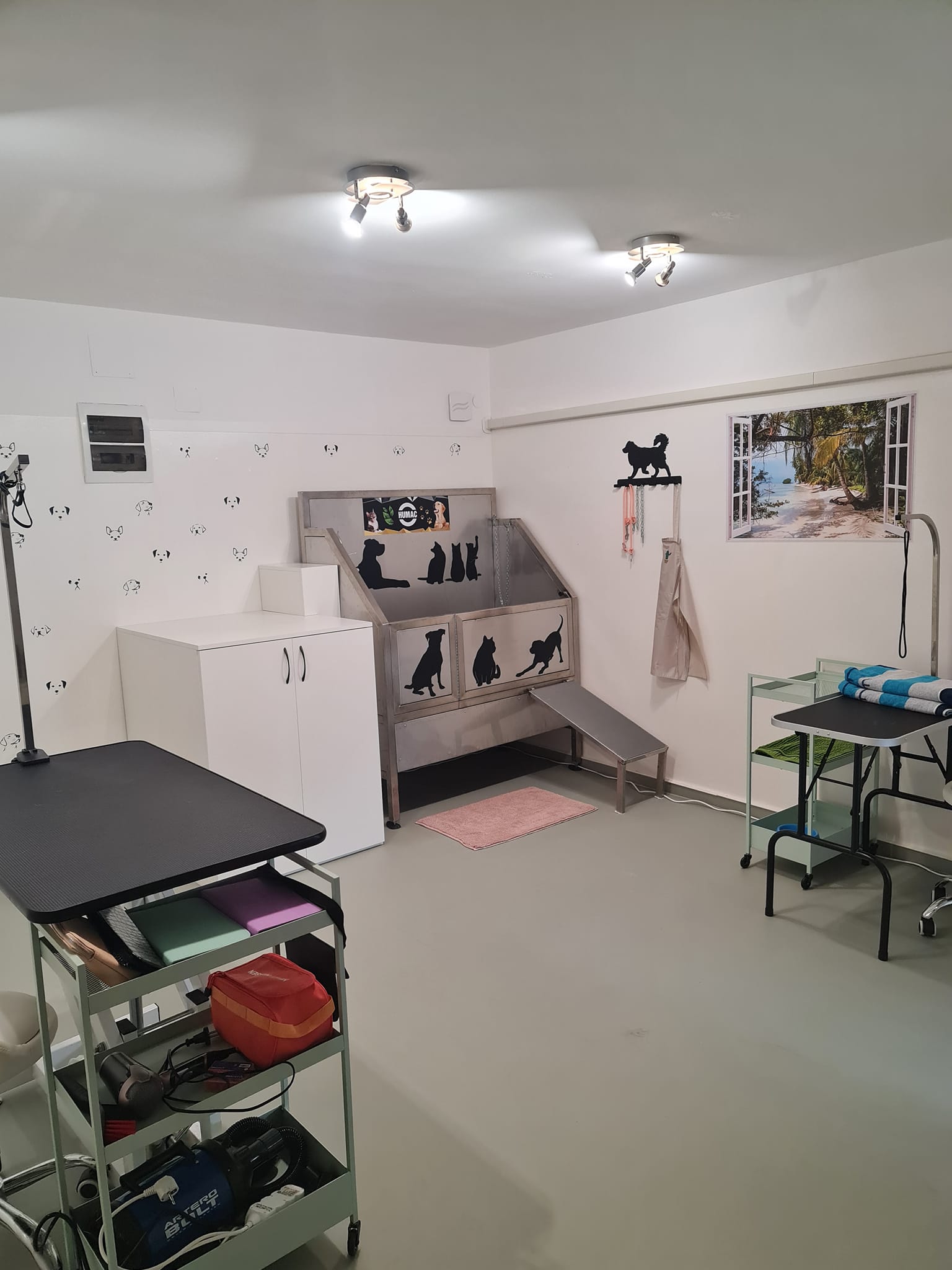 Green Pet Grooming Salon - kép 5