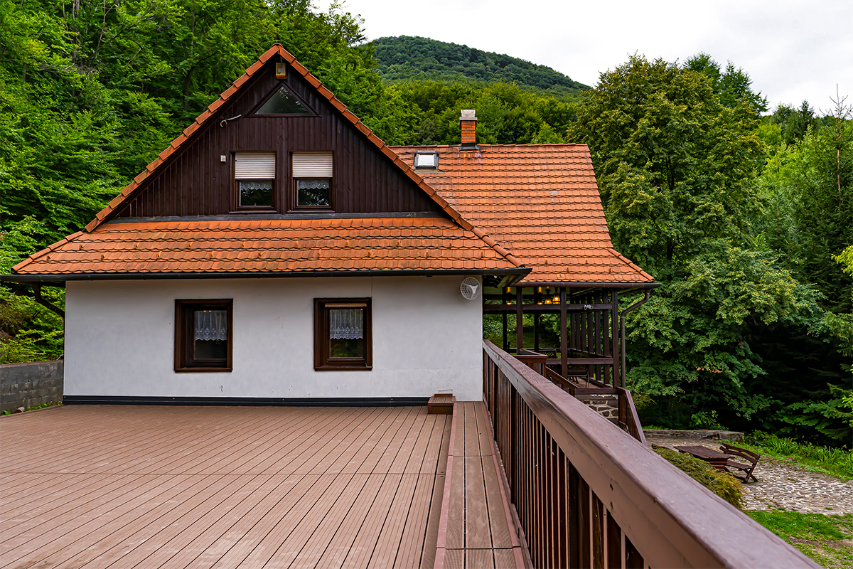 Villa Szalamandra - Erdőszéle - kép 4