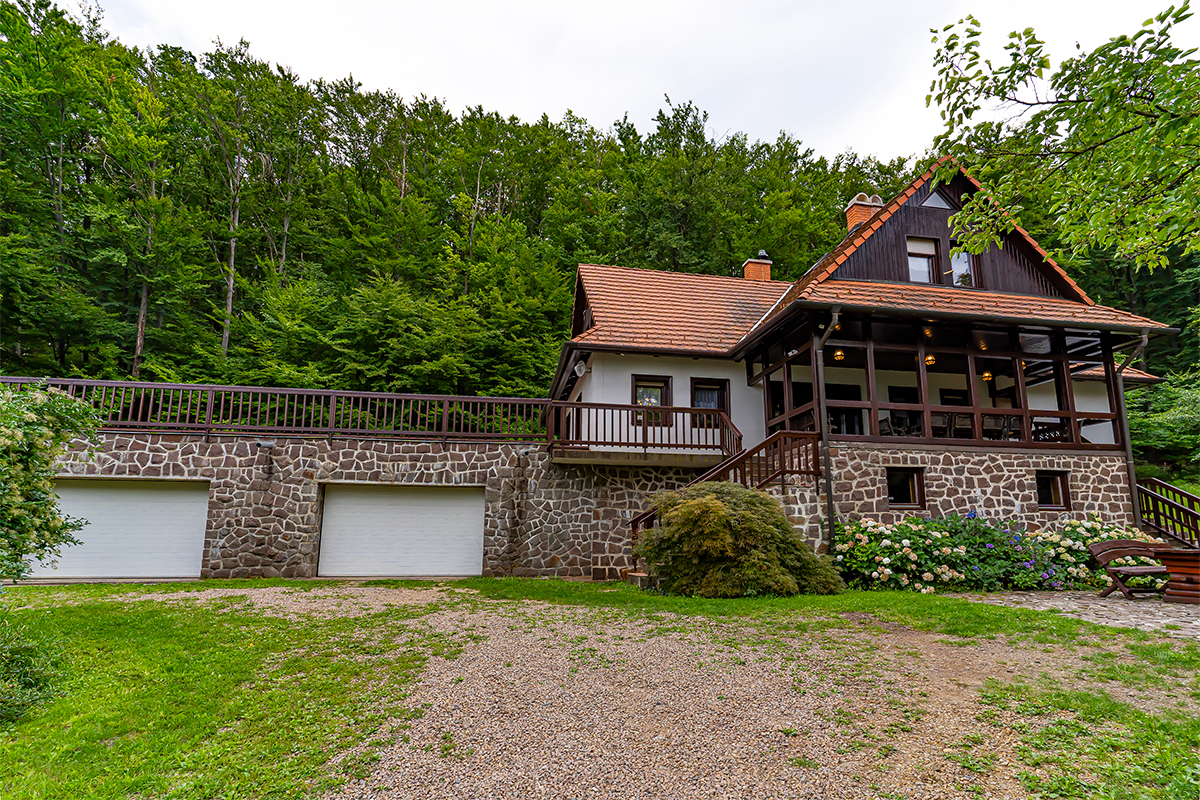 Villa Szalamandra - Erdőszéle - kép 2
