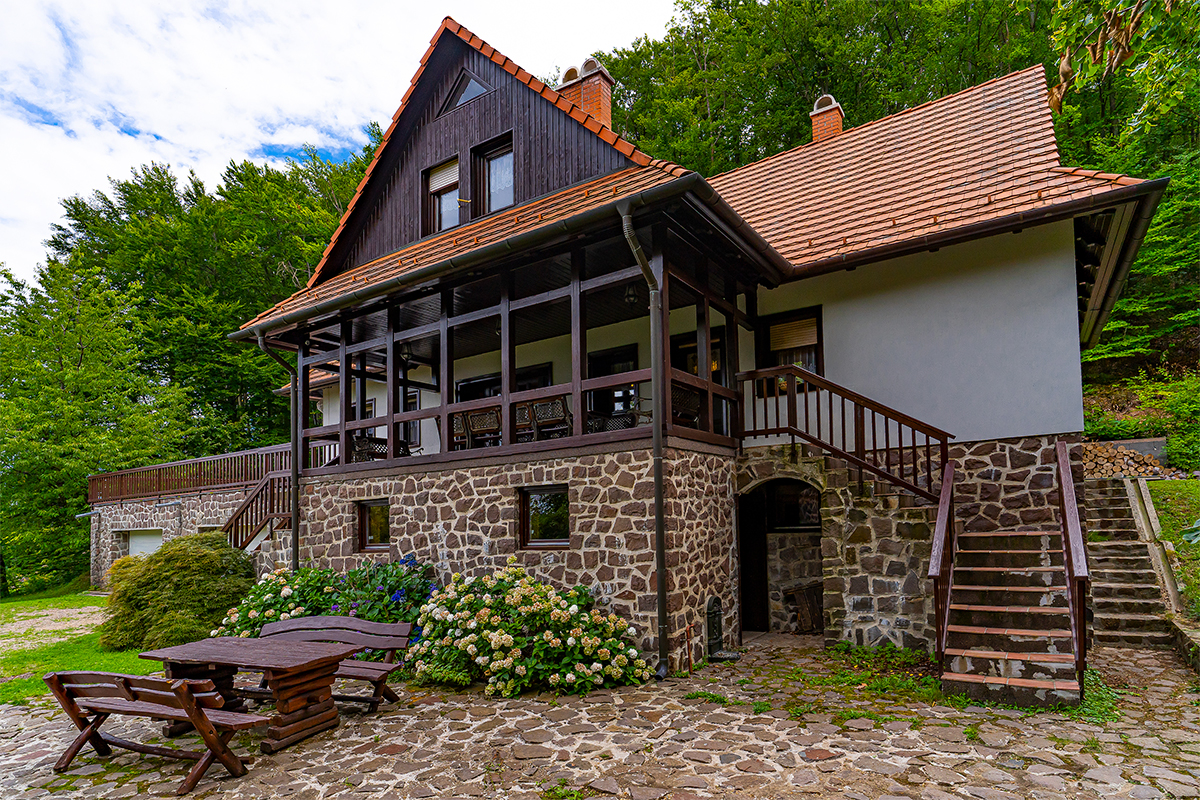 Villa Szalamandra - Erdőszéle - kép 1