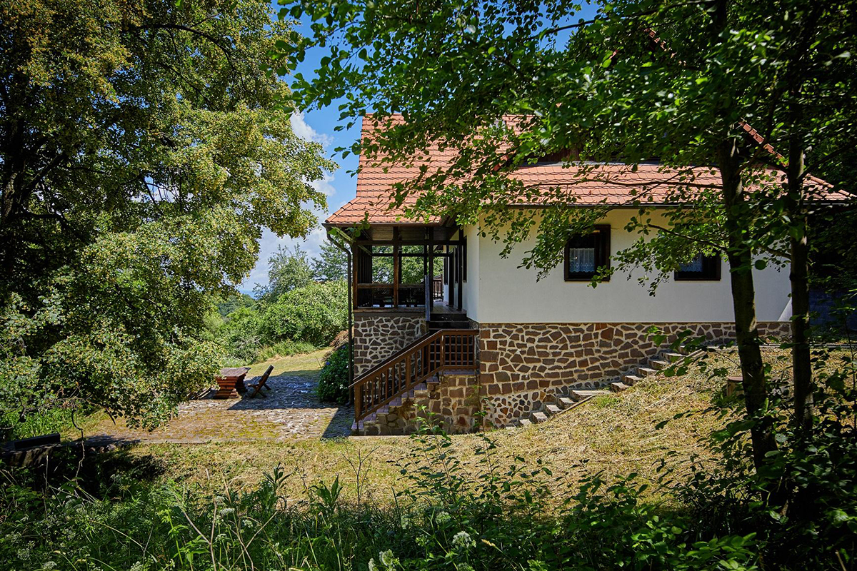 Villa Szalamandra - Erdőszéle - kép 3