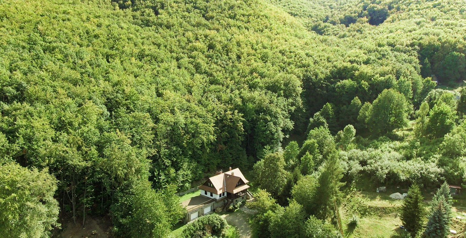 Villa Szalamandra - Erdőszéle - kép 5
